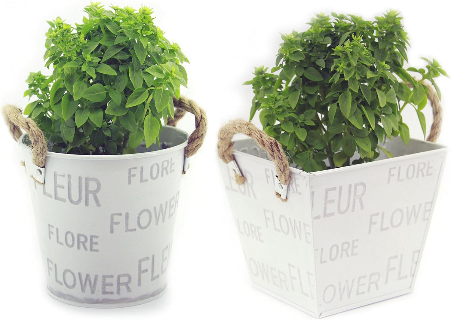 Pack 2 Maceteros Decorativos Interior (Redondo y Cuadrado ...