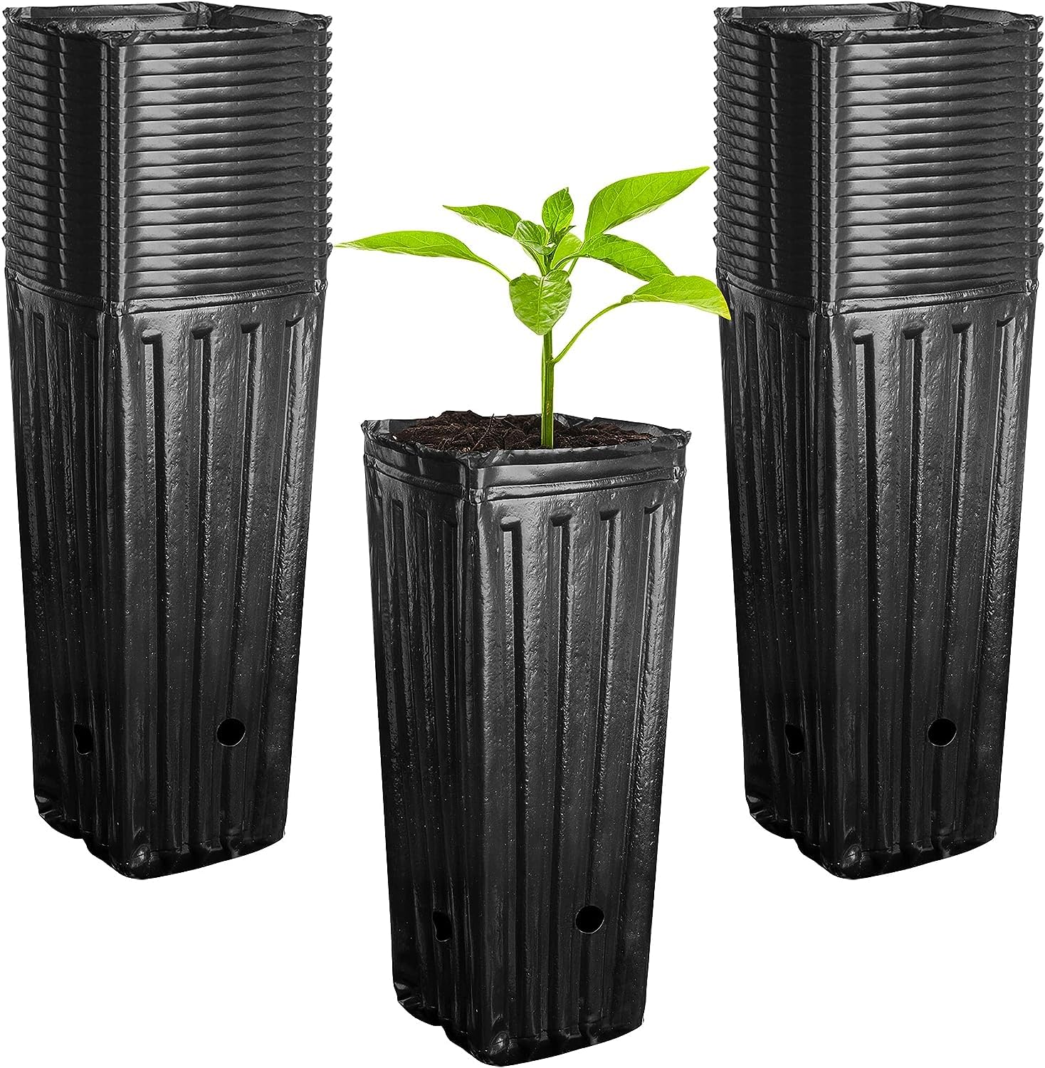 50Pcs Tall Tree Pots - Plastic Deep Nursery Treepots -30cm Tall Seedling Flower Plant Container Pots for Indoor Outdoor Garden Plants