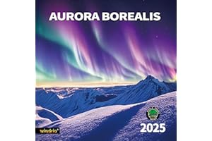 WINDRIO 2025 Wall Calendar,Calendar 2025, January 2025 - December 2025, Wall Calendar Aurora, 12" x 24" Opened,Full Page Months Thick & Sturdy Paper for Gift Perfect Calendar Organizing & Planning