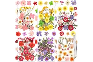 THRILEZ 160 Pcs Dried Flowers Pressed Real Flowers for Resin, Dried Florals Natural Herbs Kit for Scrapbooking DIY Art Crafts, Jewelry Molds, Candle, Soap Making, Mother’s Day Birthday Gift
