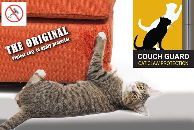 Cat Scratching Furniture