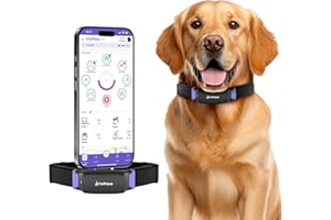 NEW Dog Health Monitor V3.0 by PetPace – AI Smart Collar with 24/7 Vital Signs, Pain & GPS Tracking, Telehealth AskaVet & Share With Your Vet, Smartwatch Sync – Subscription Required (Large)