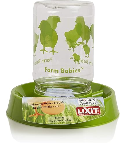 Lot De 4 Mangeoires Transparentes Pour Cailles, Poussins, Petits Oiseaux - 4 Trous En Forme D'Ours