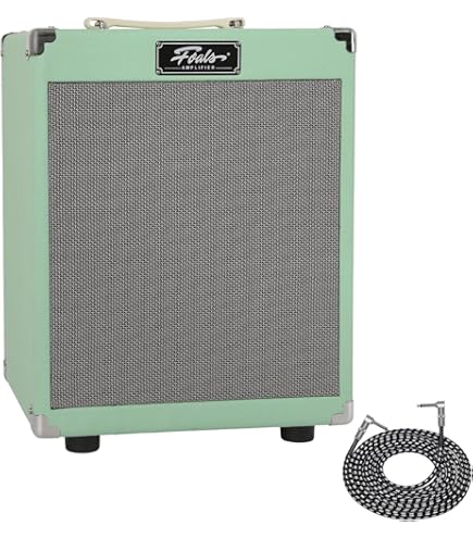 Amazon.com: Laney Black Country Customs Amp Combo, 1x12in 30W