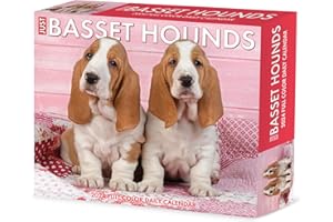 Willow Creek Press Basset Hounds Daily 2024 Box/Desk Calendar (5.86" x 4.72")