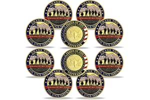 YGLLSSY 10Pcs Veterans Military Challenge Coins Thank You for Your Service Appreciation Gift