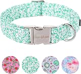 Unique Style Paws Summer Dog Collar Soft Adjustable Green Floral XS XL