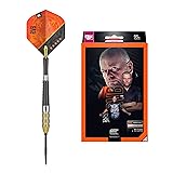 Target Darts Raymond van Barneveld RVB 95 Gen 4 25G