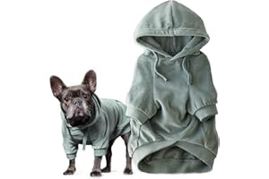 Pet Passion Cooper II Organic Cotton Velour Dog Hoodie Pet Coat for Small, Medium and Large Dogs, Sage, Medium