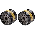 Briggs & Stratton 842921 Pack of 2 Oil Filters