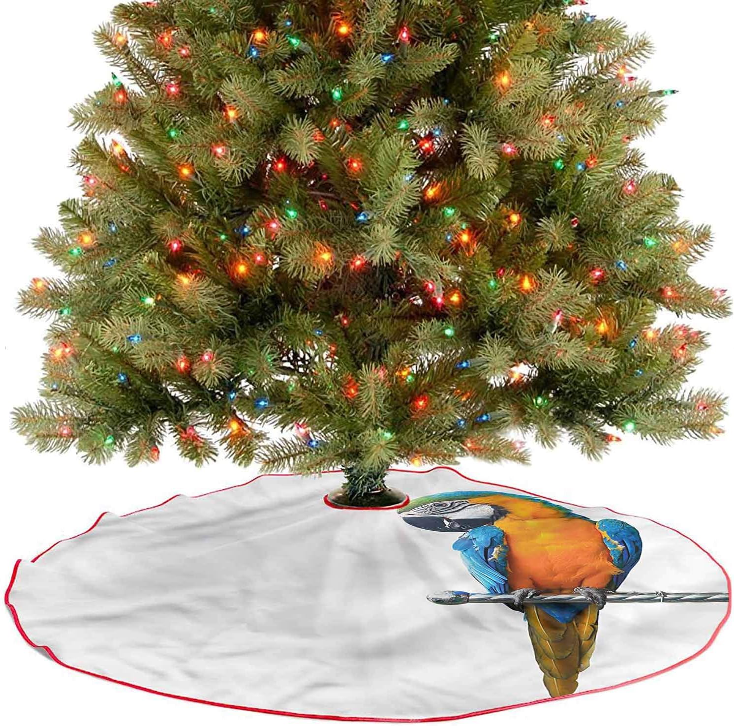 10 Mejores Comprar Arbol De Madera Para Guacamayos | (2020)