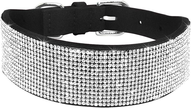 science diet skin allergies