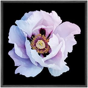 SIGNWIN Framed Canvas Wall Art Pale Pink and...