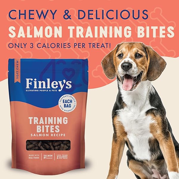 FINLEY’S SALMON TRAINING BITES, LOW CALORIE, ALL NATURAL SOFT CHEW DOG TREATS, 10 OUNCE (PACK OF 1)