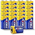 PKCELL 9V Dry Battery (100 Count)– Ultra Long-Lasting 9 Volt Carbon Zinc Battery, 3-Year Shelf Life, Leak-Proof 9V Battery for Smoke Detectors