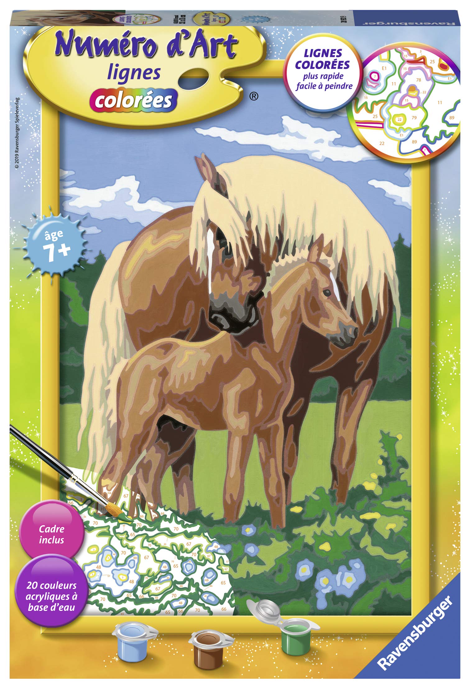 Ravensburger 4005556289219 Large Horse Painting, Boy, Children, Girls' Toys, Arts and Crafts, Painting, Digital Painting, Artist, Games, Dolphins, Ocean, Sea