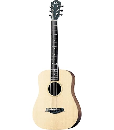 baby taylor BT1 ソフトケース付き Baby Taylor (BT1) Layered Walnut Acoustic Guitar | Taylor Guitars