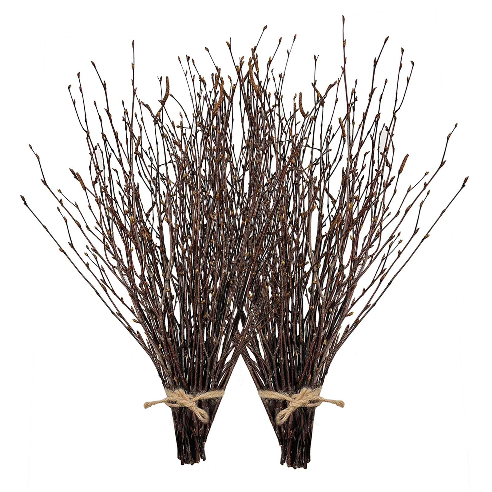 Photo 1 of 17 Inch Natural Birch Branches Dried Birch Twigs Wreath Making Supplies Dried Plants for Rustic Home Decor Easter Stems Vase Filler DIY Crafts Vases Tall Wreath Christmas Decoration Wedding (100Pcs)