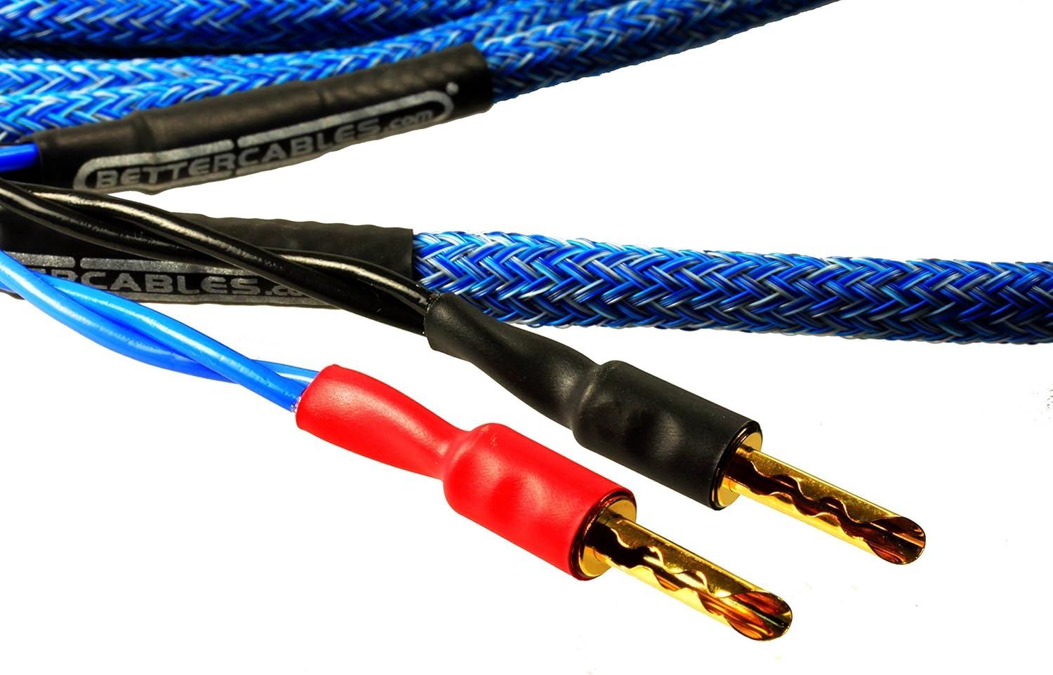 blue truth speaker price