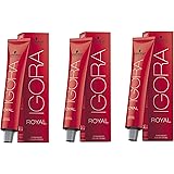 Schwarzkopf Igora Royal 6-00 Set 3 x 60 ml
