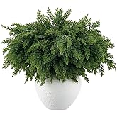 Aurdox 8 Pcs Real Touch Norfolk Pine Branch – 18" Artificial Christmas Green Plants Branches, Faux Greenery Pine Stems Fake Cedar Picks for Vase DIY Crafts, Christmas Picks Indoor Home Decor