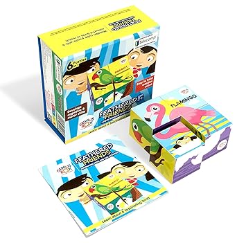 Genius Box - Play some Learning Birds 6 in 1 Wooden Cube Puzzle Educational Activity Kit / Educational Toy / Educational Kit / STEM