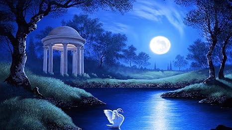 Buy Avikalp AWI3116 Swan Lake Night Full Moon Trees Grass Hd 