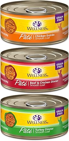 amazon wellness cat food