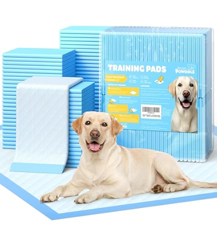 Smart Dog Obedience School For Humans Pet Life Clever Dog
