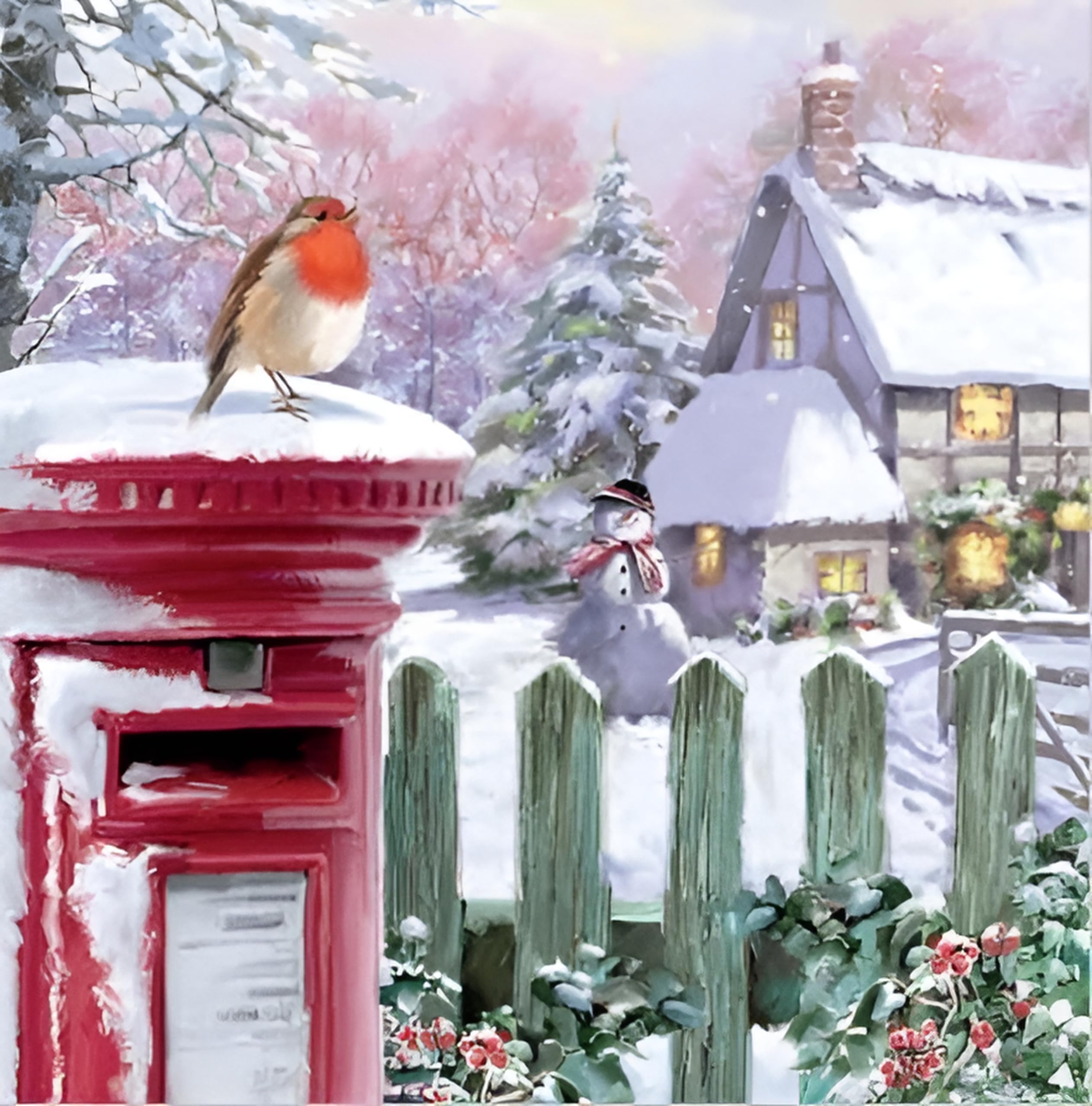 Noel Tatt Charity Christmas Cards Pack of 10 - Charity Christmas Cards with Robin and Snowy Cottage Design - Eco-Friendly Xmas Cards Multipack with Envelopes