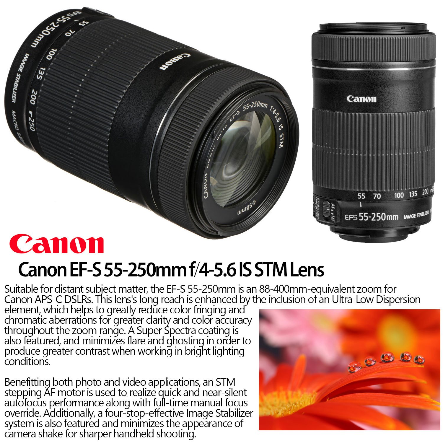 Canon EOS Rebel T6i DSLR Camera + 1855mm, 55250mm & 100mm Macro