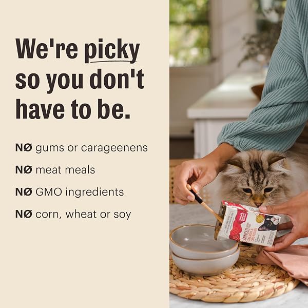 THE HONEST KITCHEN HUMAN GRADE CÂTÉ™ GRAIN FREE TURKEY PÂTÉ WET CAT FOOD, 2.8 OZ X12