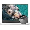 VIVIDSTORM-Long Focus Ambient Light Rejecting Screen Material,White Housing Motorized Floor-Rising Projection Screen,Compatible with Lumen up to 2500ANSI of Ordinary Projector,VWSDSTALR150H