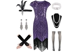 WILDPARTY 1920s Women Flapper Dresses Sequin Dresses Vintage Lace Fringed Cocktail Dress with 20s Accessories Set