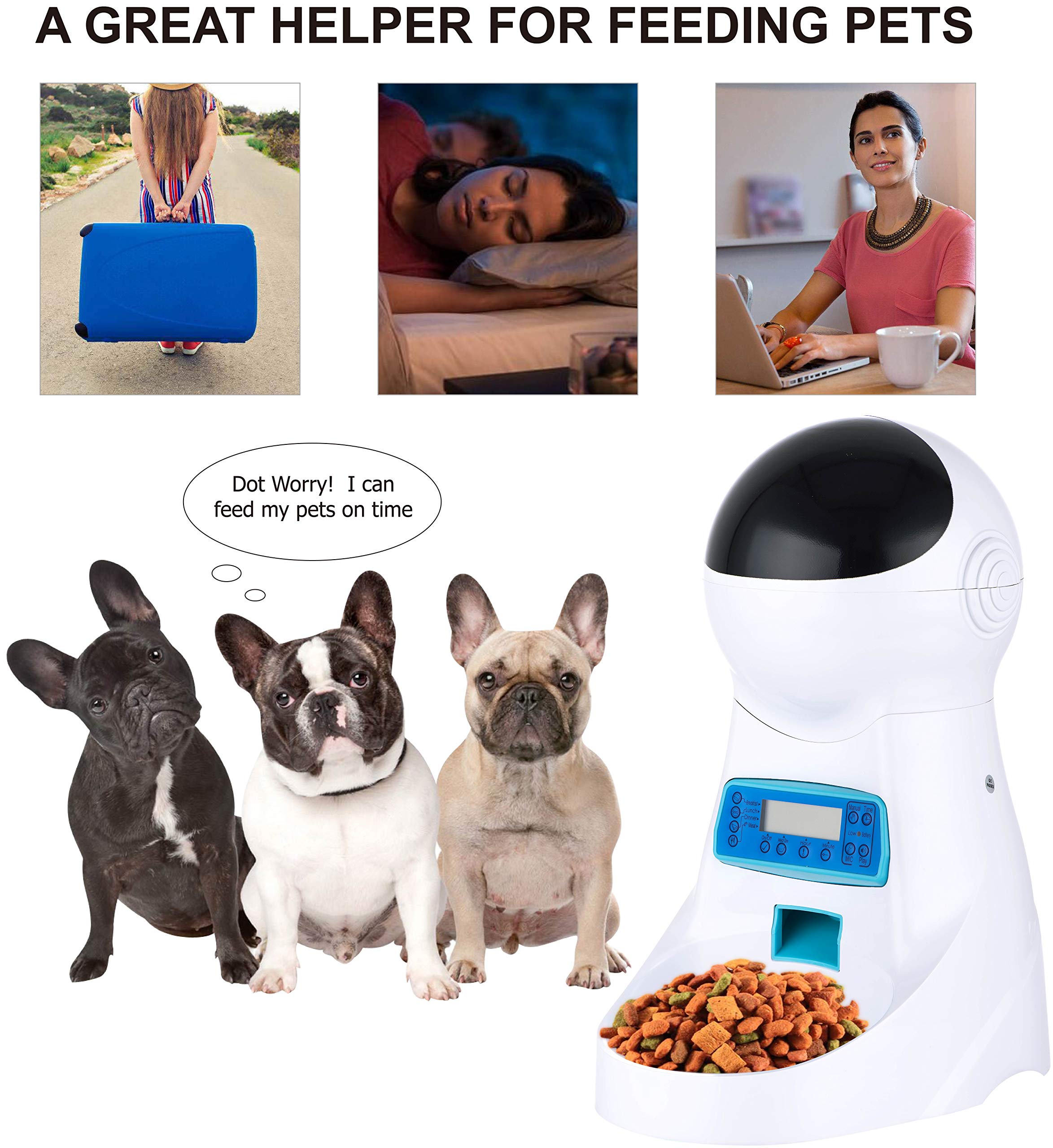 joytool automatic cat feeder