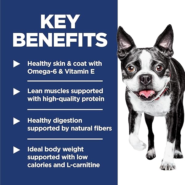 HILL’S SCIENCE DIET LIGHT, ADULT 1-6, WEIGHT MANAGEMENT SUPPORT, SMALL KIBBLE, DRY DOG FOOD, CHICKEN & BARLEY, 5 LB BAG