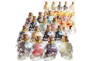 MINELEVEN 24Pcs Crystals and Healing MINI Stones with Skull Spell Jars-Crystal Chakra Stones Cute Glass Bottle-Healing Crystals