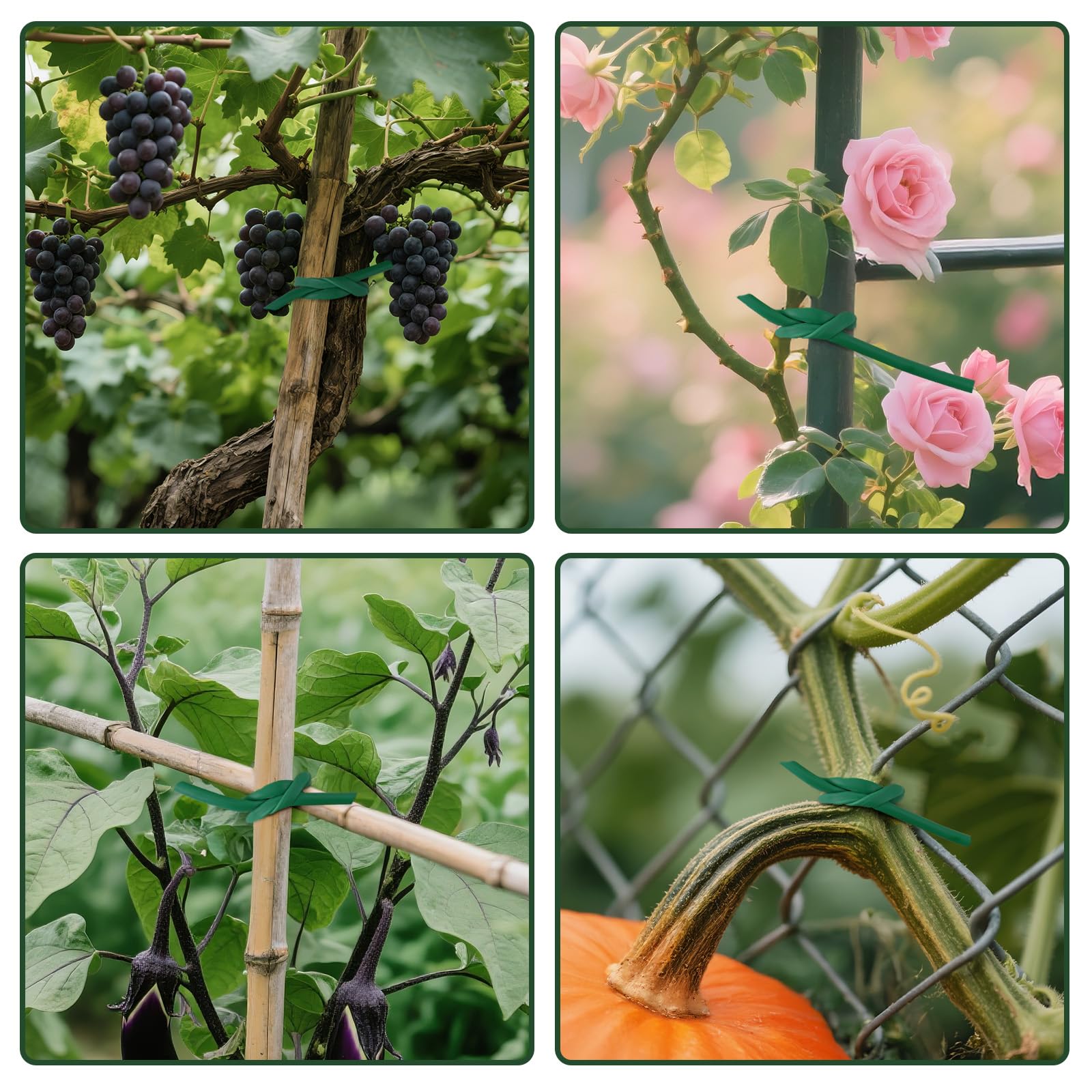 KINGLAKE Hohlschnur, Bindeschlauch 3mm x 50m, Pflanzenschnur Wetterfest Reißfest, Pflanzenbinder Plastik zum Garten Pflanzen Anbinden Tomaten Rose, Grün 7