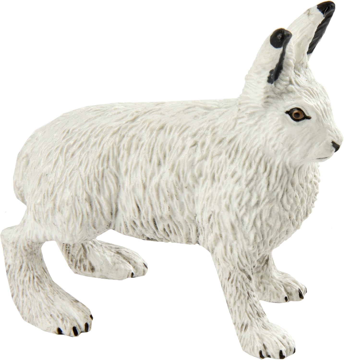 Amazon Com Safari Ltd Arctic Hare Realistic Hand Painted Toy Figurine Model Quality Construction From Phthalate Lead And Bpa Free Materials For Ages 3 And Up Toys Games