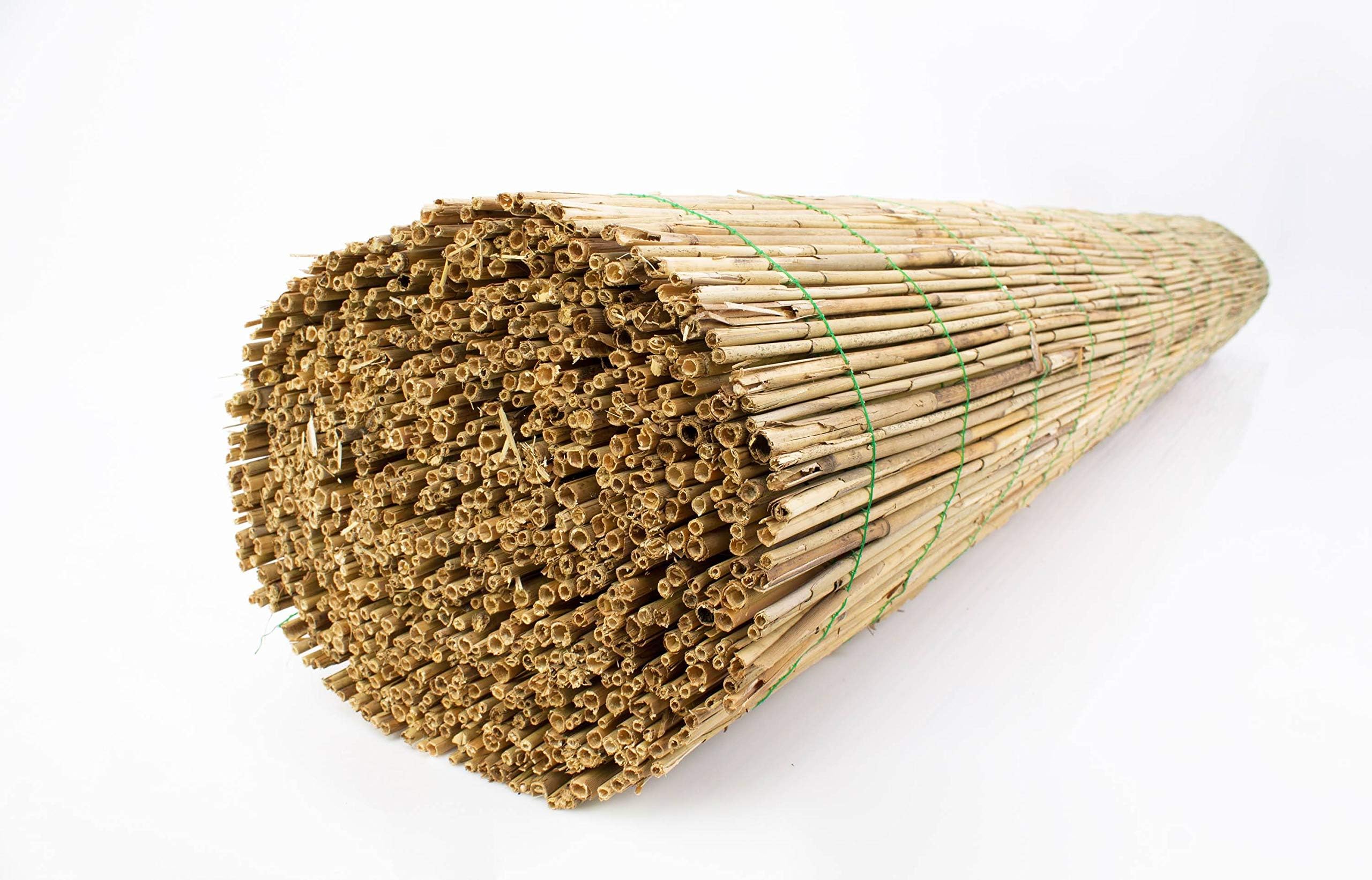 artplants.de Reed screening LUCA, natural- coloured, 20ft x 5ft/600cm x 160cm - Natural fencing/Protective screening