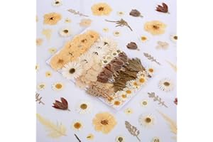 AHTONG 100 PCS Real Dried Pressed Flowers Leaves Natural Plant Herbarium for DIY Resin Mold Jewelry Making Craft (10 Styles)-White