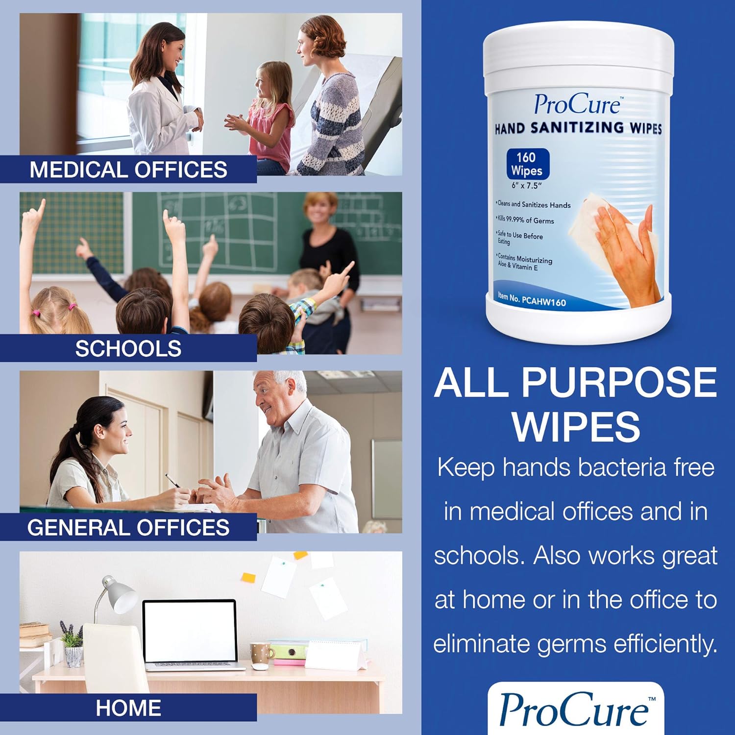 ProCure Hand Sanitizing Wipes Canister – 160 Wipes - Moisturizing Formula with Aloe and Vitamin E - Kills 99.99% of Germs – Safe Before Eating - 5.5" x 7.9" Antiseptic Cleansing Cloths: Health & Personal Care