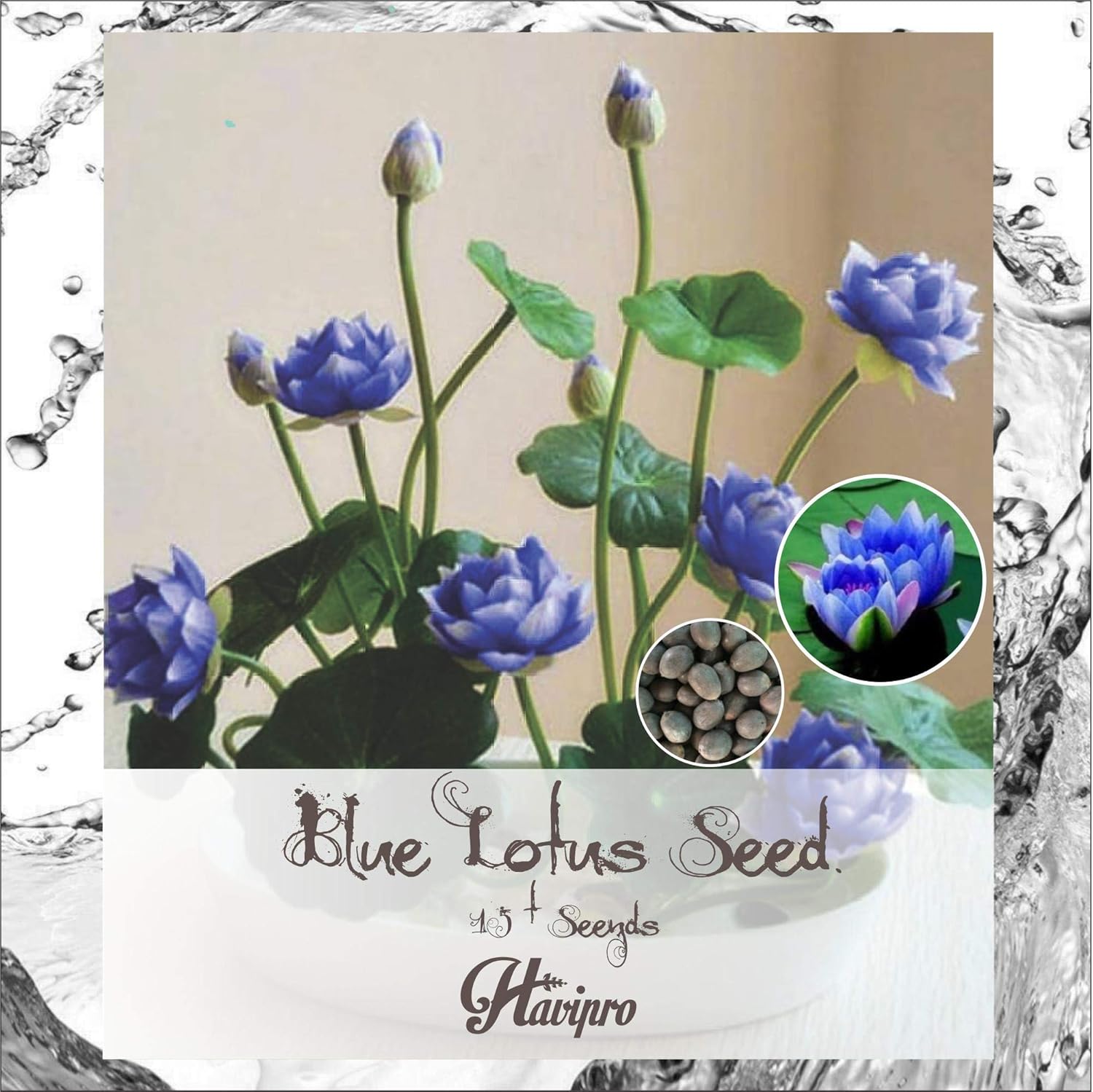 Lotus Seeds Mini Dwarf Water Lotus Bowl Seeds for Planting Lotus