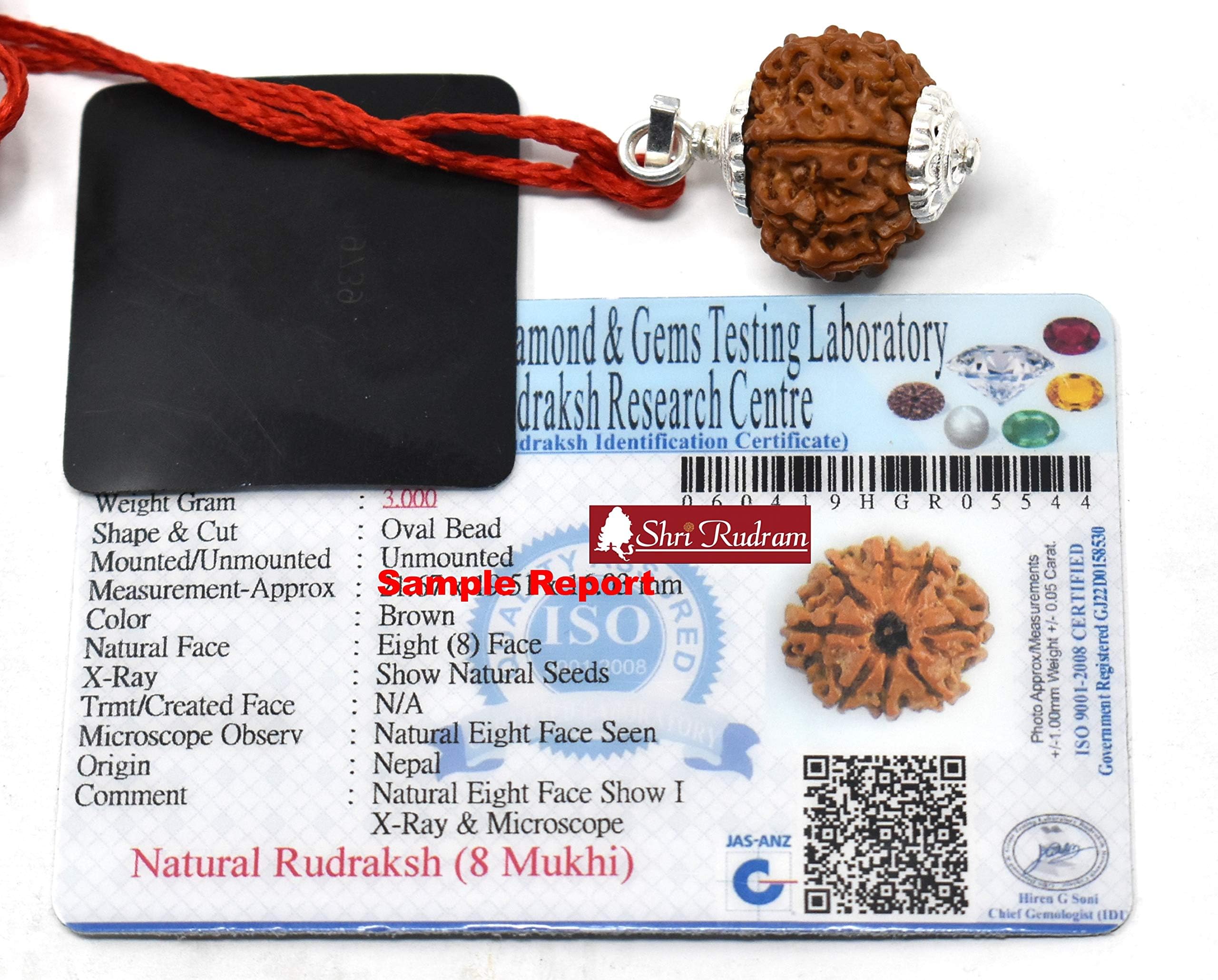Shri Rudram 8 Mukhi Rudraksha (Multi)