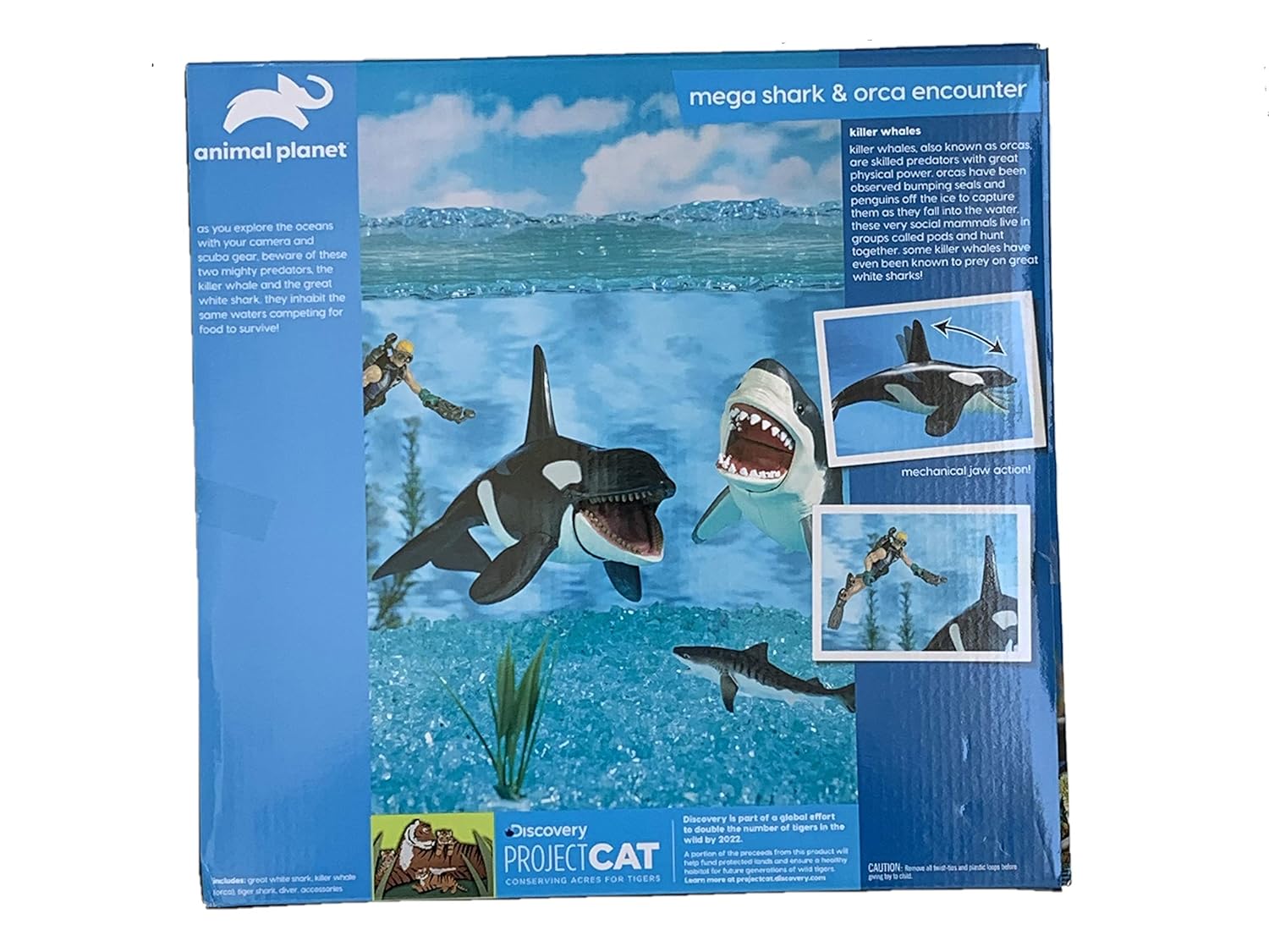 mega shark and orca encounter