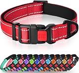 Taglory Reflective Nylon Dog Collar with Safety Buckle Large Red