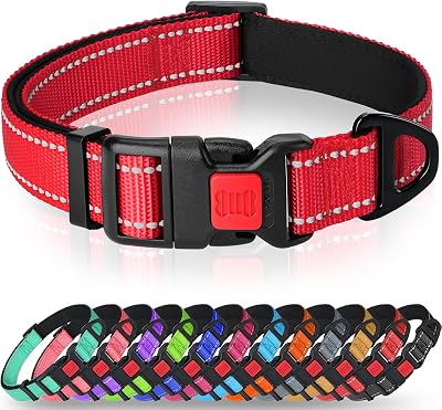 Taglory Reflective Nylon Dog Collar with Safety Buckle Red Size S