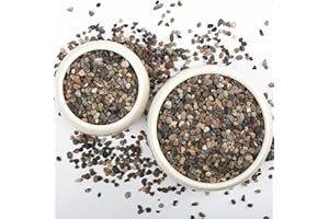 LOOIOOJ 5LB Natural River Rocks, 1/4" Aquarium Gravel, Small Pebbles for Plants, Pea Gravel for Fish Tanks, Decorative Rocks for Gardening, Flower Pots, Vase Fillers, Indoor Fountains (10, Pounds) (5 LBS)