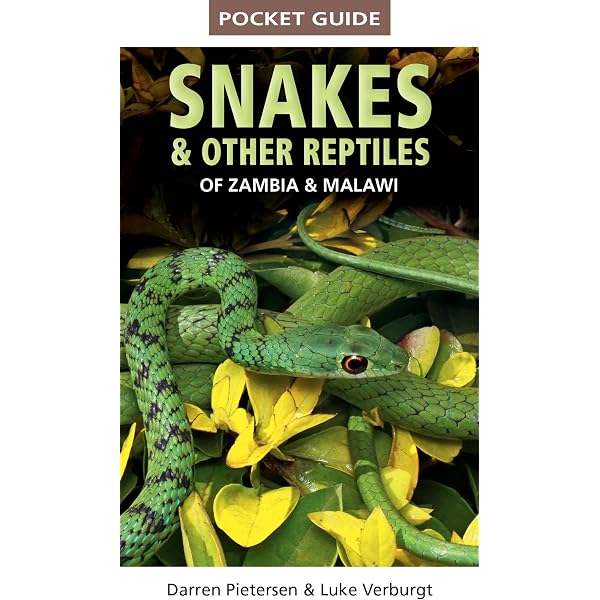 The Mini-Atlas of Snakes of the World: Coborn, John: 9780866226011