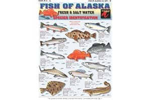 TIGHTLINES PUBLICATIONS Alaska Fish Identification Chart #16 - Waterproof Quick Reference Fishing Guide - (Freshwater & Saltwater) - Species ID - Double-Sided & Easy to Read - Great Gift for Beginners
